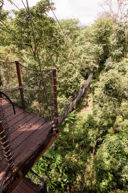 Mae Fah Luang Bahçesinde Ağaç Tepesi Yürüyüşü, Chiang Rai.