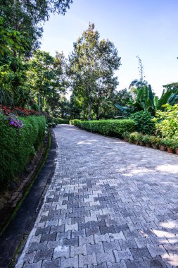 Chiang Rai bölgesindeki Doi Tung Kraliyet Konağı 'nda güzel bir park..