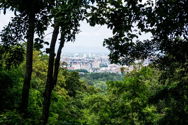 Tayland 'ın Chiangmai şehrinin kuş bakışı manzarası.