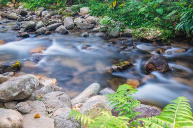 Tayland 'da küçük bir dere.