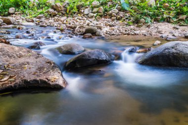 Tayland 'da küçük bir dere.