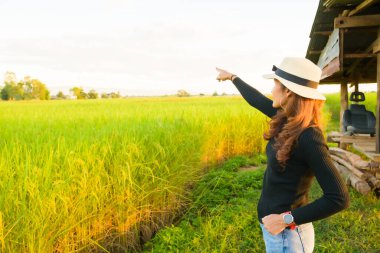 Thai Female with Rice Field Background, Phayao Province.