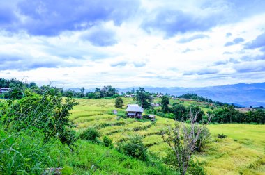 Pa Bong Piang Rice Terraces at Chiang Mai Province, Thailand.