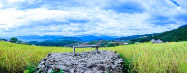 Panorama View of Pa Bong Piang Rice Terraces at Chiang Mai Province, Thailand.