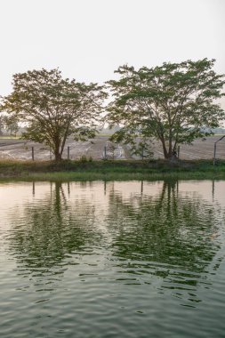 Tayland 'da manzara manzarası