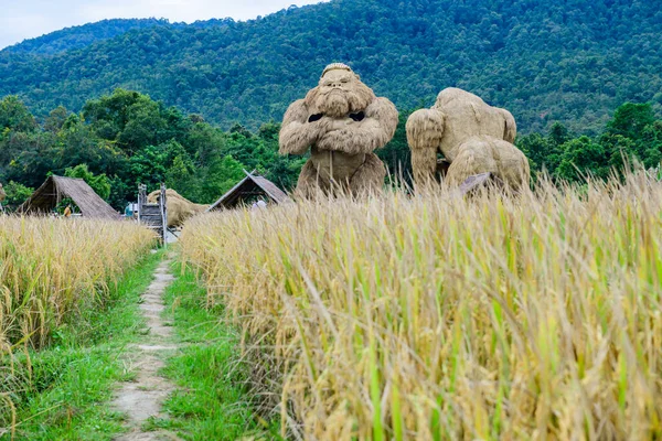 King Kong Straw Puppet in Rice Field, Chiang Mai Province.