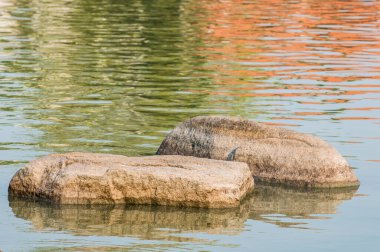 Göl taşları, Tayland