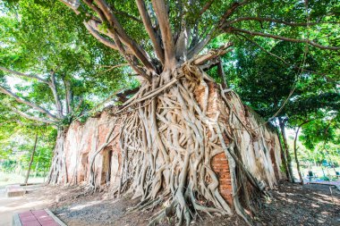 Kratai Tapınak, Tayland antik Tay kilisede seslendirdi.
