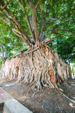 Kratai Tapınak, Tayland antik Tay kilisede seslendirdi.