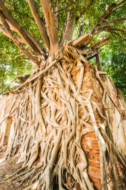 Kratai Tapınak, Tayland antik Tay kilisede seslendirdi.