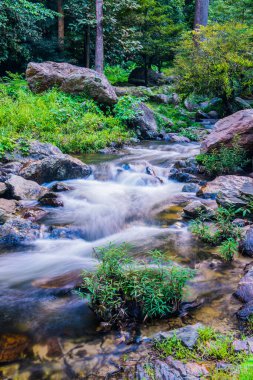 Tayland 'daki ulusal parktaki Klonglan şelalesinde su akıyor..