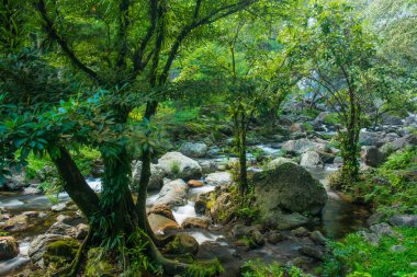 Ulusal Park, Tayland 'da Klonglan Şelalesi.