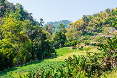 Doi Mon Jam, Tayland Dağ Manzarası