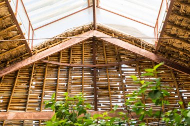 Çatı penceresi ve Yaprak Çatı, Tayland.