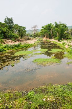 Tayland 'ın doğal manzarası