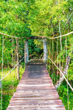 halat köprü Milli Park, Tayland