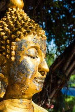 Buda heykelinin Yüzü, Tayland