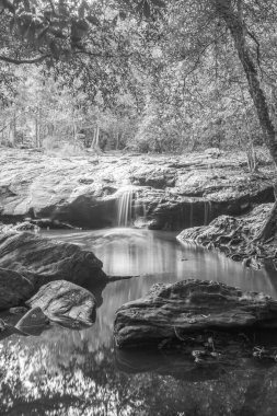 Pang Sida Şelalesi Tayland 'daki ulusal parkta