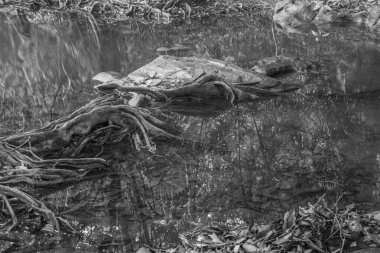 Tayland 'daki Pang Sida şelalesinde akan sular