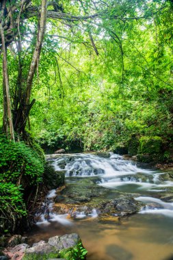 Sarika Şelalesi Ulusal Park, Tayland