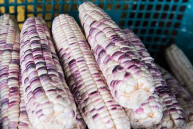 Naylon sepette taze mısır, Tayland