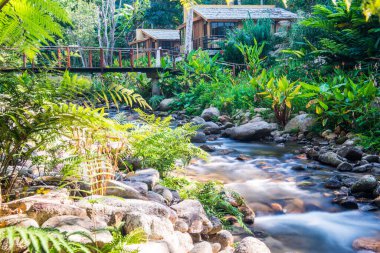 Tayland 'da küçük bir dere.