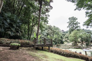 Mae Fah Luang bahçesinin manzarası, Tayland.