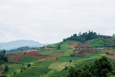 Tayland, Tayland 'da doğal manzara.