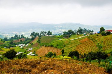 Tayland, Tayland ve Tayland 'da doğal manzara..