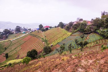 Tayland, Tayland ve Tayland 'da doğal manzara..