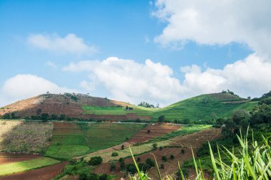 Tayland, Tayland 'da doğal manzara.