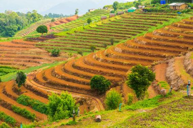 Tayland, Tayland 'da doğal manzara.