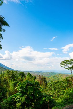 Kwan Phayao 'nun Tayland' daki dağ manzarası.