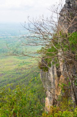 Tayland 'ın Lampang bölgesindeki ağaçlar, mağaralar ve Pan şehri.