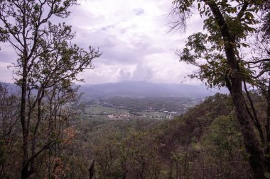 Chalermprakiat Prachomklao Rachanusorn Tapınağı, Tayland.