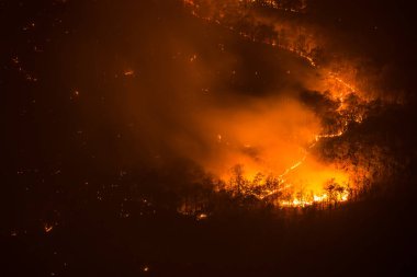 Tayland 'da Gece Orman Yangını
