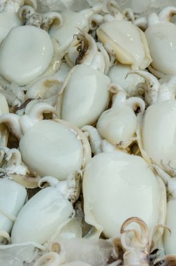 Taze mürekkep balığı taze pazarda, Tayland