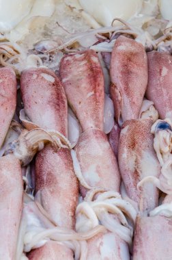 Taze mürekkep balığı taze pazarda, Tayland