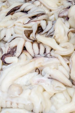 Taze mürekkep balığı taze pazarda, Tayland