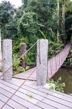Tayland 'daki Ulusal Park' ta asma köprü.