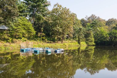 Tayland 'ın Chiangmai ilindeki göl manzarası..