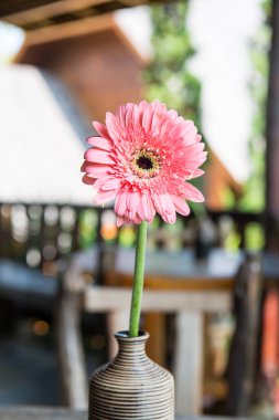 Masadaki vazoda pembe çiçek, Tayland