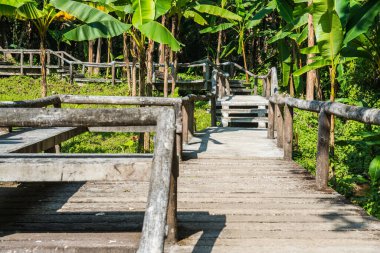 Doğada yürü, Tayland 'da