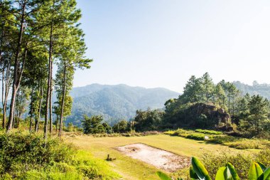 Tayland 'ın Chiangmai eyaletindeki Dağ Ormanı