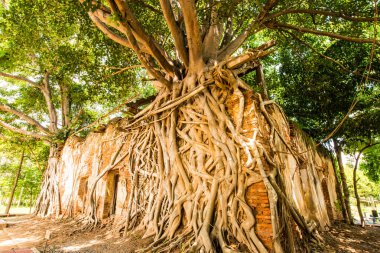 Kratai Tapınak, Tayland antik Tay kilisede seslendirdi.