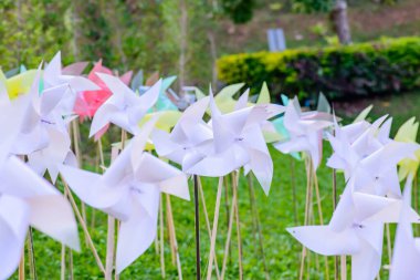 Parktaki Plastik Beyaz Yaban Değirmeni, Chiangmai Eyaleti.