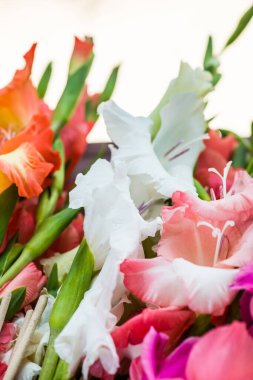 Tapmak için çiçekler, Tayland