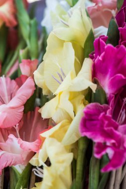 Tapmak için çiçekler, Tayland