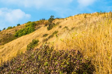 Kew Mae Pan görünümü Doi Inthanon Tabiat Parkı, Tayland