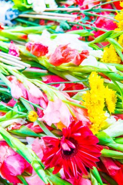 Tapmak için çiçekler, Tayland